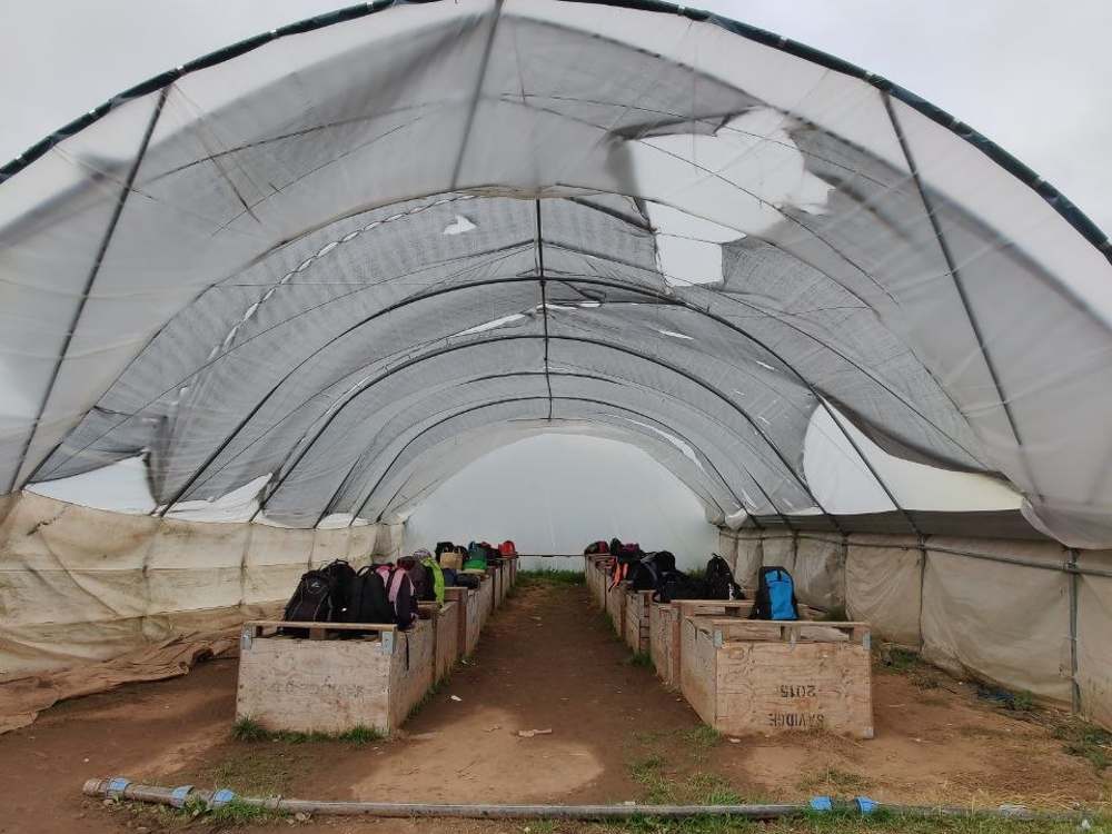 Полутоннель с деревянными ящиками под сбор урожая на ферме Woodfields